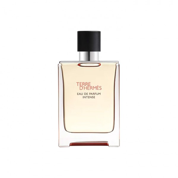 Hermes Terre D'Hermes Intense Eau de Parfum 100 ml Hermes Terre D'Hermes Intense Eau de Parfum 100 ml