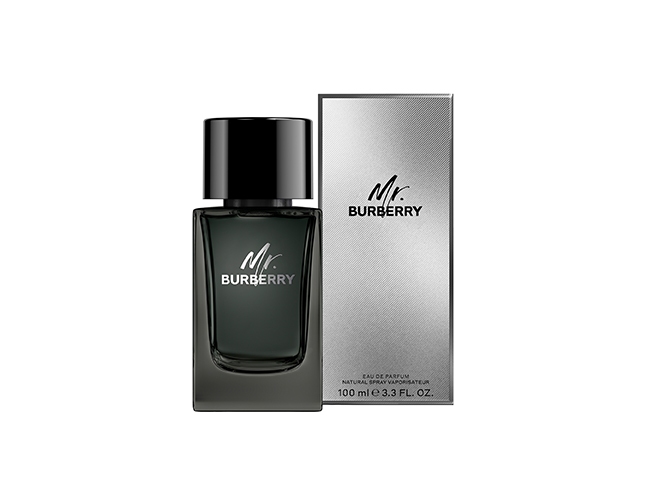 Mr. Burberry - Burberry - 100 ml - edp